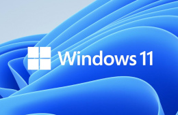 Windows 11 Pro PL OEM