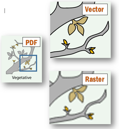 pdf2cad pdf2cad