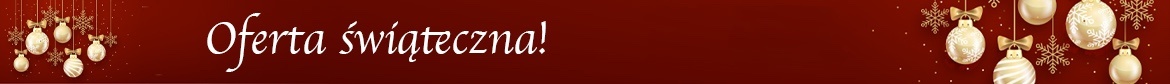 zwcad oferta świąteczna