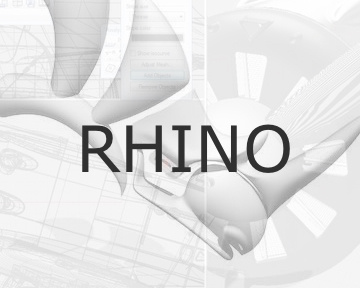 Rhino 7